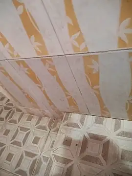 Snapshot of Sanjaymartin29 chatting on 03/21/25, 02:50 Sanjaymartin29 online show from 03/21/25, 02:50