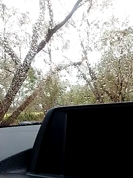 stiffandlubedxh online show from 10/21/25, 09:04