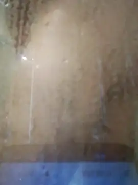 stiffandlubedxh online show from 11/23/25, 07:46