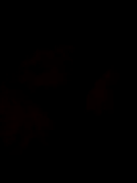 Sanny212 online show from 12/09/24, 12:40