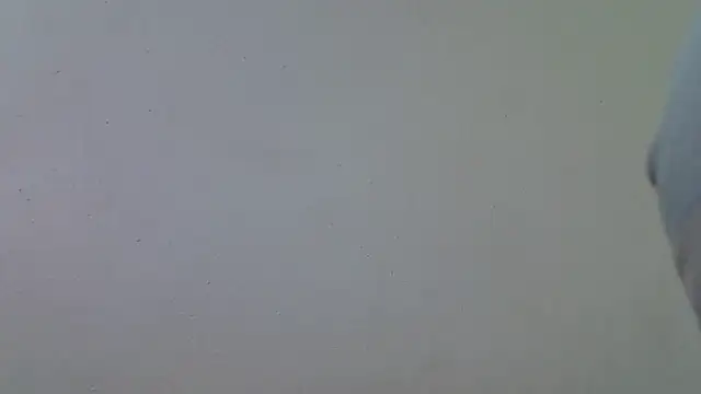 Snapshot of AddictiveAssCurves chatting on 03/18/26, 08:39 AddictiveAssCurves online show from 03/18/26, 08:39