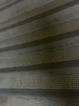 Snapshot of wSilEliaXm chatting on 09/16/25, 02:56 wSilEliaXm online show from 09/16/25, 02:56