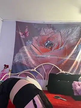 Snapshot of DominiqueX0 chatting on 02/20/26, 09:04 DominiqueX0 online show from 02/20/26, 09:04