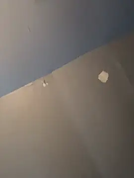 Snapshot of DominiqueX0 chatting on 03/24/26, 04:17 DominiqueX0 online show from 03/24/26, 04:17