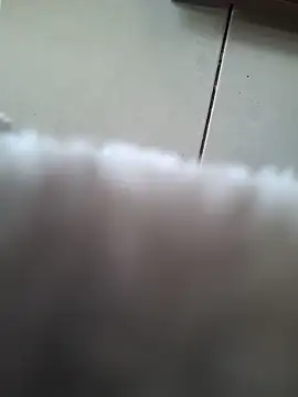 biboii online show from 02/08/25, 03:00