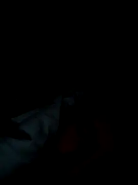 michele1500 online show from 11/25/25, 09:37