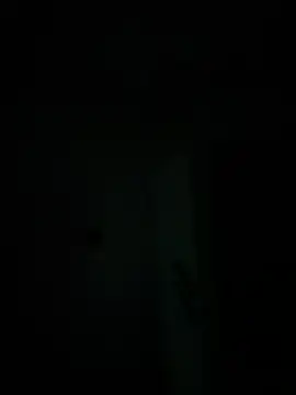 michele1500 online show from 11/30/25, 01:53