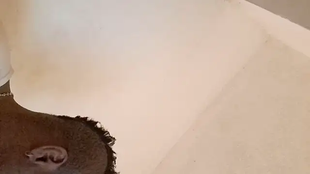 royblackbigpvt online show from 03/25/26, 06:03