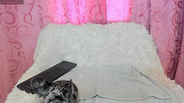 Snapshot of iisabella_gonzalez chatting on 09/13/25, 08:08 iisabella gonzalez online show from 09/13/25, 08:08