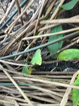 Yurt000 online show from 09/11/25, 03:17