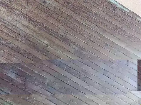 Argentinoflaco online show from 09/26/25, 02:10