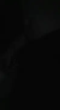 Snapshot of Bi_curious86 chatting on 11/13/25, 04:44 Bi curious86 online show from 11/13/25, 04:44