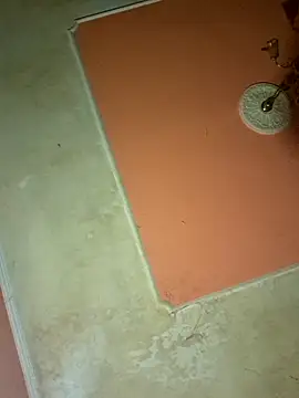 ducicsajsziii online show from 03/17/25, 10:38