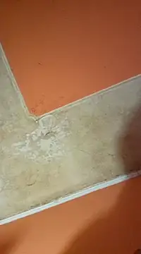 ducicsajsziii online show from 03/19/25, 03:08