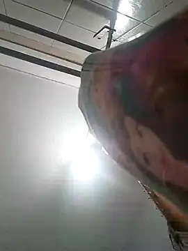 bruna safadinhaa online show from 12/02/24, 11:34