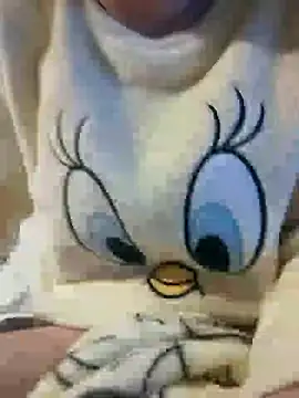 bruna safadinhaa online show from 12/30/24, 08:04