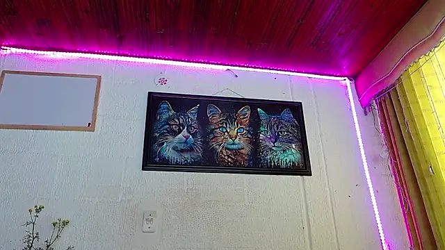 Niky 777 online show from 02/05/25, 04:25