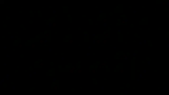 greydesire online show from 12/10/24, 03:01