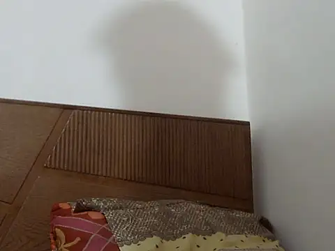 shekira99 online show from 09/13/25, 12:27