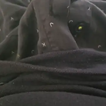 Snapshot of surfer_fun29 chatting on 12/02/25, 05:35 surfer fun29 online show from 12/02/25, 05:35