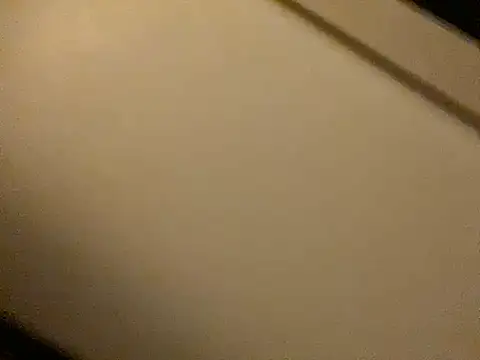 Snapshot of ROXYNL chatting on 01/19/25, 07:04 ROXYNL online show from 01/19/25, 07:04