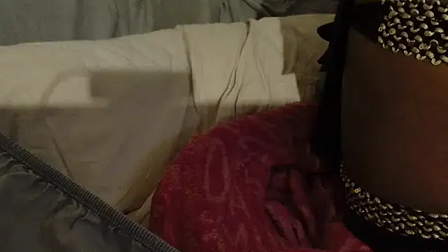 Snapshot of ROXYNL chatting on 02/08/25, 01:11 ROXYNL online show from 02/08/25, 01:11