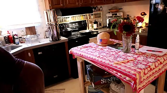 Snapshot of xxpixeyxx chatting on 10/19/25, 02:40 xxpixeyxx online show from 10/19/25, 02:40