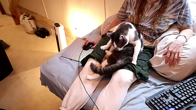 Snapshot of xxpixeyxx chatting on 11/29/25, 04:10 xxpixeyxx online show from 11/29/25, 04:10