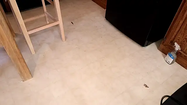 xxpixeyxx online show from 02/12/26, 05:52