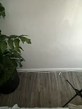 Snapshot of demonslayerr999 chatting on 02/26/25, 04:24 demonslayerr999 online show from 02/26/25, 04:24