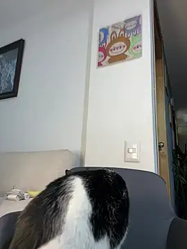 ananya sex1 online show from 03/15/26, 05:57