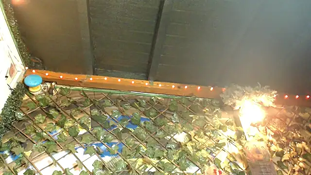 Bigboobs6930 online show from 01/24/25, 05:31