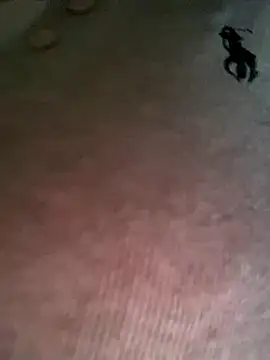 Ruby bear online show from 12/19/25, 03:46