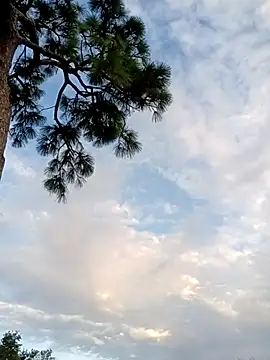 Hotbodyscottie online show from 10/05/25, 11:41