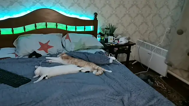 Snapshot of FelvivalKitty chatting on 01/08/25, 09:23 FelvivalKitty online show from 01/08/25, 09:23