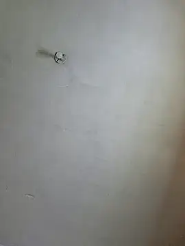 Ricorryxh online show from 12/14/24, 05:29