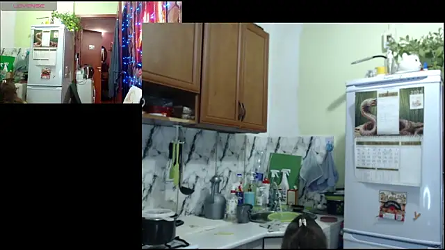 Snapshot of Sakura_Green chatting on 12/22/25, 03:31 Sakura Green online show from 12/22/25, 03:31