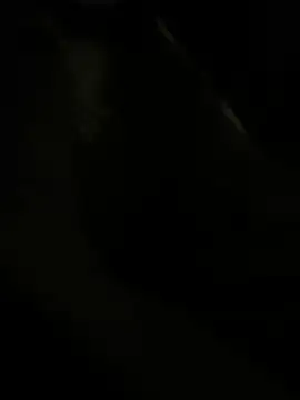 RoodoggXL online show from 03/22/25, 03:20