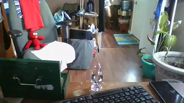 Snapshot of Daremeknot chatting on 12/30/24, 07:00 Daremeknot online show from 12/30/24, 07:00