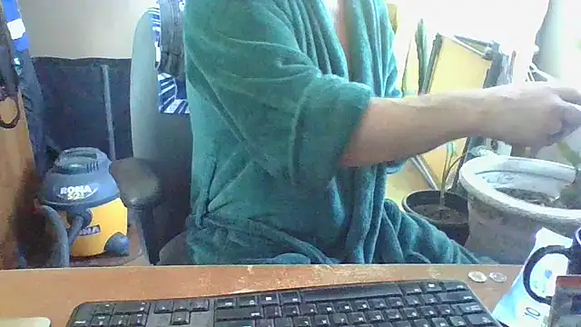 Snapshot of Daremeknot chatting on 02/01/25, 03:18 Daremeknot online show from 02/01/25, 03:18