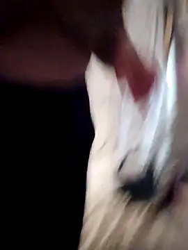 sweetkitty111 online show from 02/16/26, 08:27