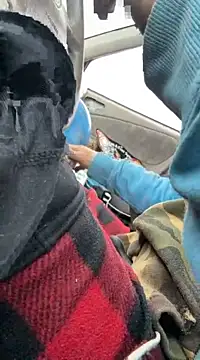 Followthepiper online show from 03/22/25, 03:42