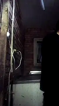 Cameron puppy online show from 03/07/25, 06:00