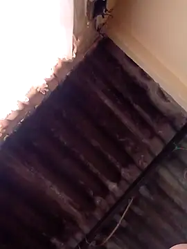 Snapshot of dantero chatting on 01/13/25, 04:51 dantero online show from 01/13/25, 04:51