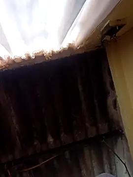 Snapshot of dantero chatting on 02/27/25, 03:48 dantero online show from 02/27/25, 03:48