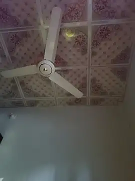 Snapshot of Dil-Ka-Radhika chatting on 11/29/25, 01:41 Dil-Ka-Radhika online show from 11/29/25, 01:41