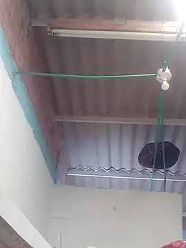 Snapshot of mailo_bronw chatting on 03/30/26, 03:13 mailo bronw online show from 03/30/26, 03:13