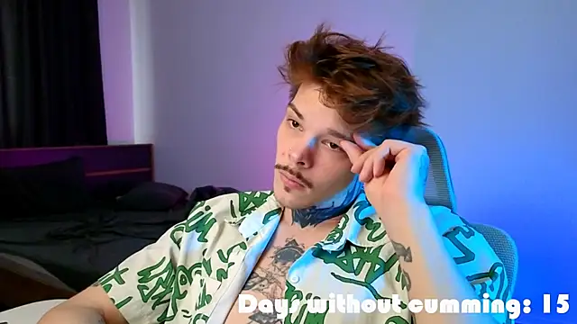 Snapshot of DENIS_HERE chatting on 04/01/26, 12:17 DENIS HERE online show from 04/01/26, 12:17