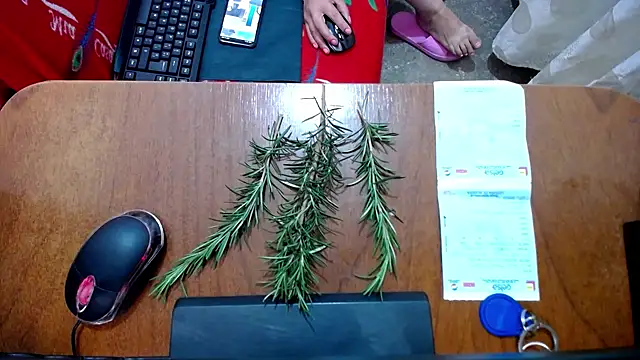 Malaya88 online show from 02/16/25, 04:42