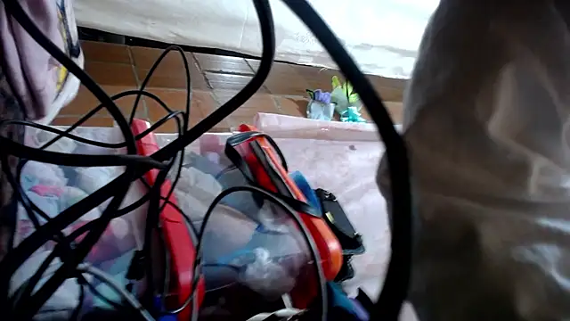 Malaya88 online show from 03/23/26, 02:48